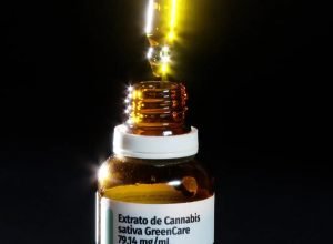 Autorizacoes-para-importacao-de-cannabis-aumentam-29-em-2026.jpg