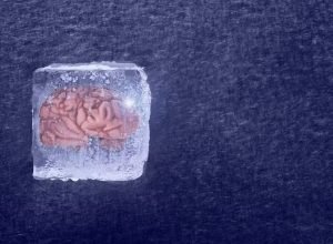 Cerebros-congelados-podem-ter-sido-reativados-em-experimento-cientifico-–.jpeg