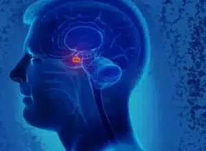 Estimulos-no-cerebro-podem-aumentar-atitudes-de-generosidade.webp.webp