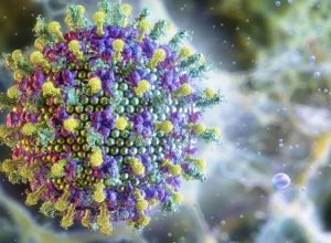 Ministerio-da-Saude-diz-que-virus-Nipah-nao-ameaca-o.jpg