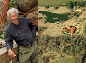 Morgan-Freeman-transformou-sua-fazenda-em-um-santuario-para-salvar.jpeg