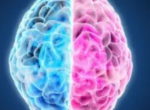 O-que-acontece-com-o-cerebro-durante-o-fim-de.webp.webp
