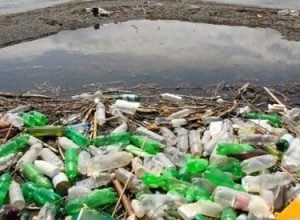 Praia-em-Florianopolis-e-eleita-a-mais-contaminada-por-microplasticos.jpg