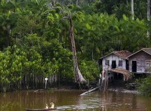 Projeto-leva-tratamento-gratuito-a-doencas-negligenciadas-no-Amazonas.jpg