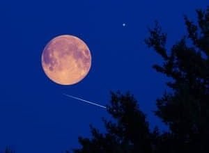 Superlua-do-Castor-vai-iluminar-o-ceu-em-novembro.jpg