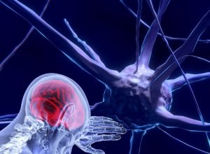 Unesco-faz-recomendacao-inedita-para-uso-etico-da-neurotecnologia.jpg
